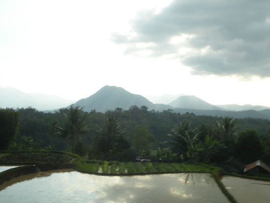 ... an kunstvollen Reisterrassen vorbei