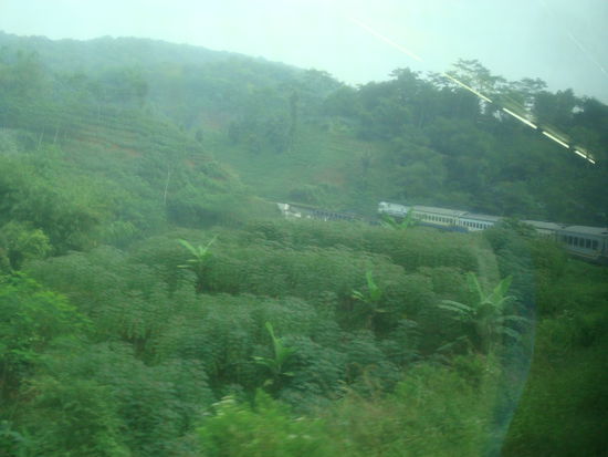 Der Zug schlaengelt sich durch die Landschaft