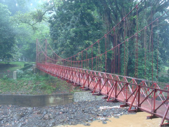 Im botanischen Garten