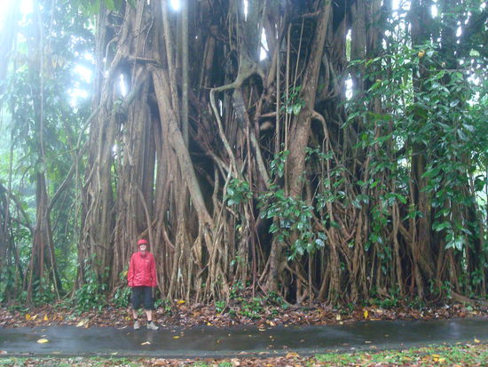 Leider regnets an diesem Tag ununterbrochen