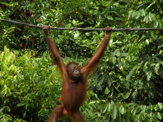 Auf dem Weg zur Futterplattform