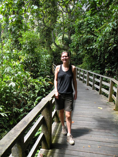 Der Steg zur Plattform fuehrt ueber Sumpfgebiet