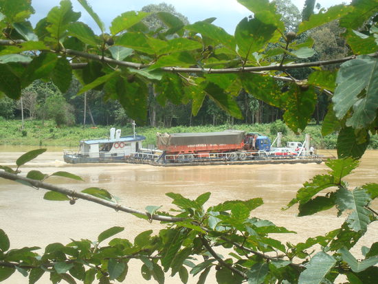 Faehrverkehr auf dem Kinabantangan River