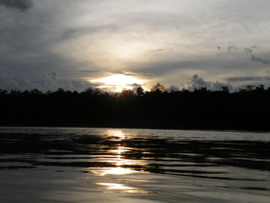 Abendstimmung am Kinabantangan