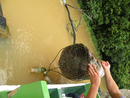 Mit diesen Fallen fangen die Einheimischen Krabben