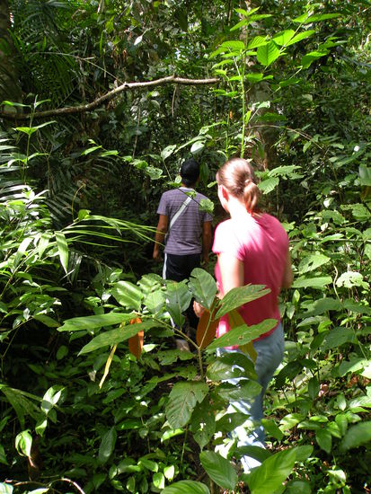 Auch zu Fuss duerfen wir den Dschungel erkunden