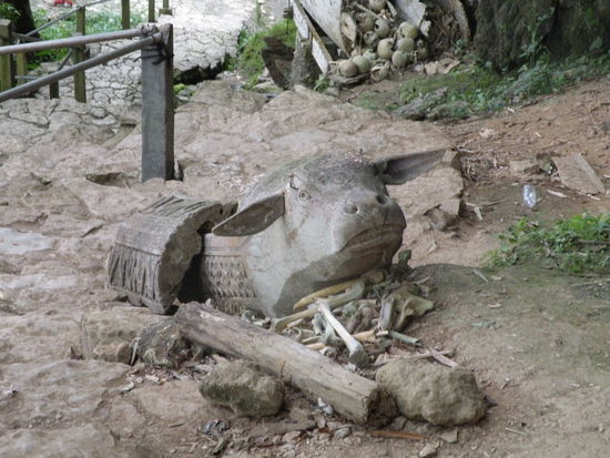 Manche Toten werden auch in haengenden Saergen in den Felsen bestattet. Hier sind ein paar heruntergefallen.