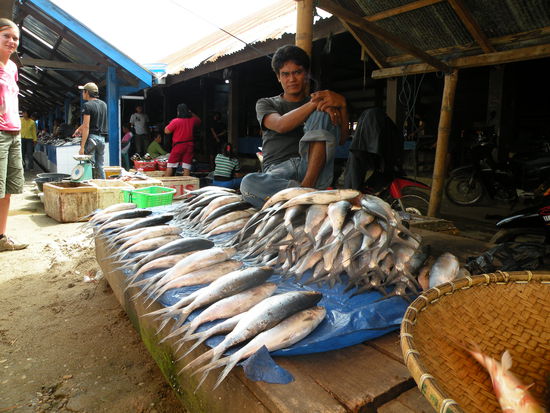 Auch viele Fische gibts auf dem Markt