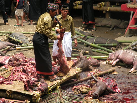 Der "Speaker" des ganzen Anlasses