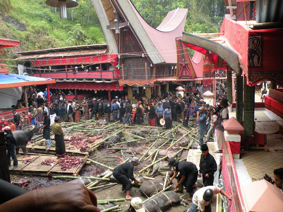 Eine neue Gruppe bringt Geschenke