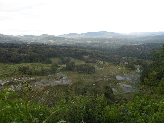 Blick uebers Toraja Land