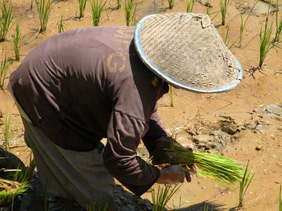 ...aber harte Arbeit