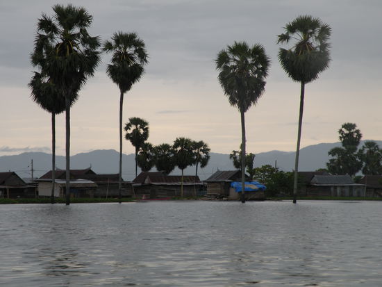 ... die waehrend des Monsuns ziemlich tief im See stehen