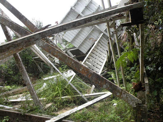 Wir kraxeln zu einem Aussichtsturm. Leider sieht dieser dann so aus