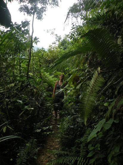 Junglewalk