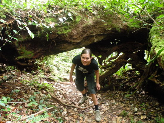 Wir kommen uns zum Teil vor...