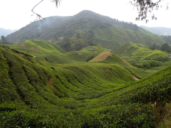 ... und wir geniessen die atemberaubende Aussicht