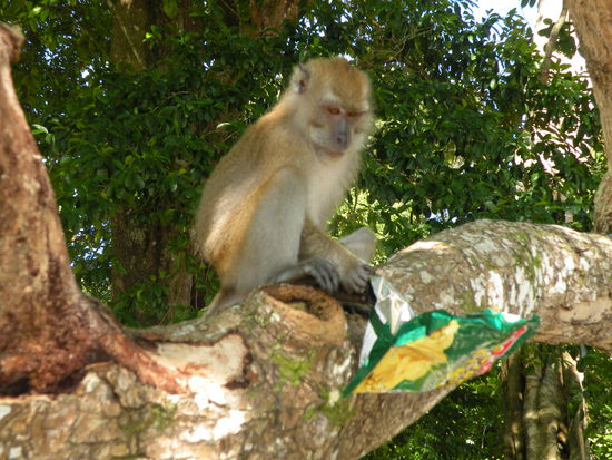 Hier hat er Erfolg gehabt