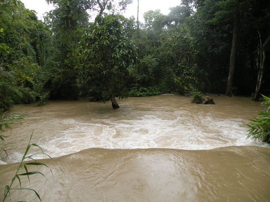 Bei den Kuang-Si Faellen. Normalerweise hat es hier weniger Wasser.