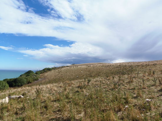 Am Abend wollen wir hier nach Pinguinen Ausschau halten