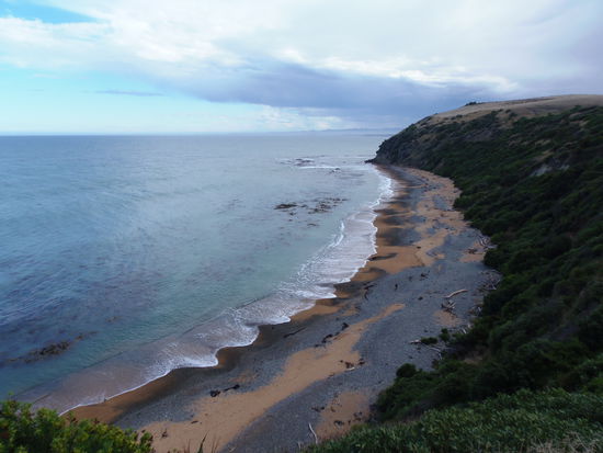 Zu dieser Bucht sollen allabendlich unzaehlige Pinguine kommen um ihre Nester zu betreuen. Mal schauen.