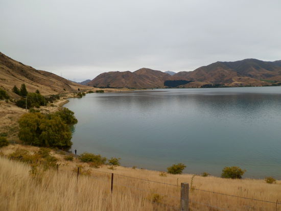 Weils am naechsten Tag in Oamaru kalt und regnerisch ist, machen wir einen Ausflug ins Waitaki Valley...