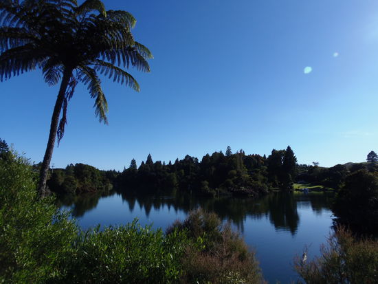 Auf dem Weg von Rotorua sehen wir immer wieder schoene Seen.......