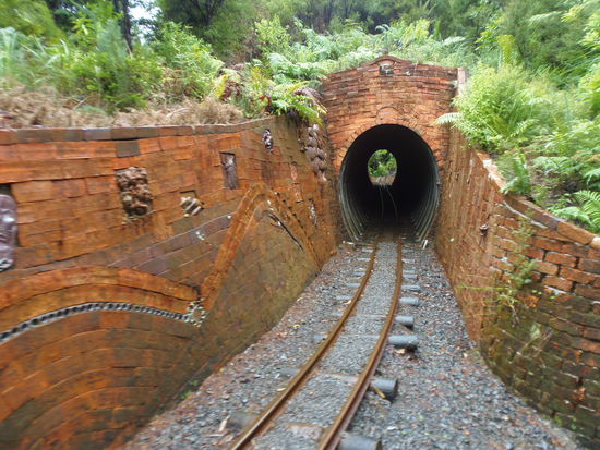 schoen zieht sich die Strecke durch wiederaufgeforsteten Kauri Wald