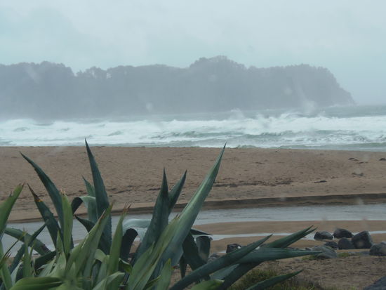 Hier am Hot Water Beach. Normalerweise kann man sich hier am Strand einen eigenen, privaten Hot Water Pool buddeln, bei diesem  sturmartigem Wetter geht es leider nicht, uns blaests schon fast vom Parkplatz weg