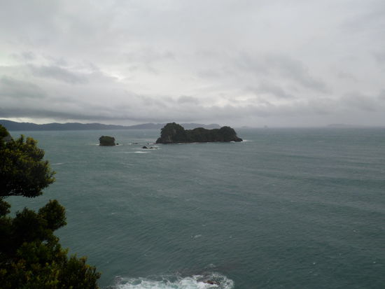 Und trotzdem ist Coromandel....