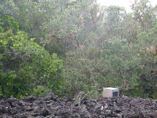 Unterwegs sehen wir immer wieder Fallen, die Neuseelaender sind sehr konsequent, was das Ausrotten von nicht einheimischen, unerwuenschten Spezies (meistens Nager) angeht.