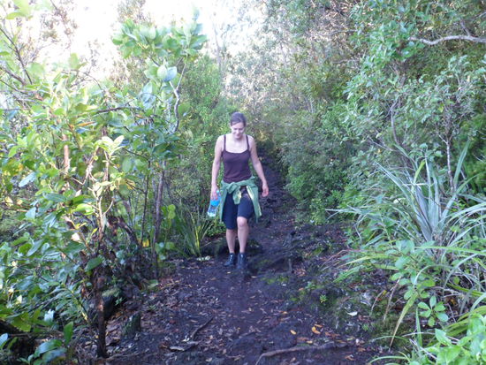 der Aufstieg in der (ungewohnten) Hitze ist schweisstreibend...