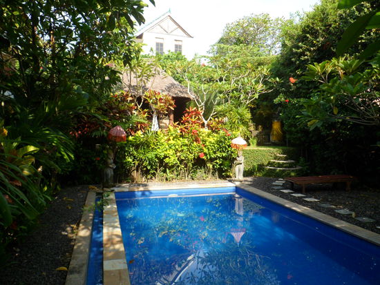 Unser Pool, im wunderschoenen Garten