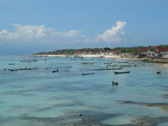 Auf Lembongan wird ueberall...