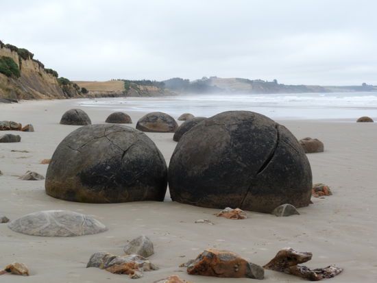 Auf dem Weg nach Dunedin kommen wir an den Moeraki Boulders vorbei. Diese Gesteinskugeln sind durch Erosion entstanden.