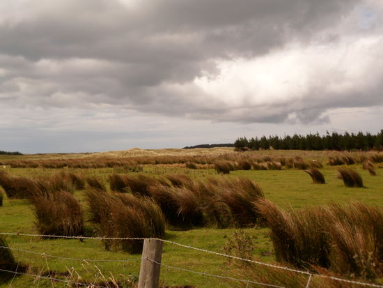 Vor fuenf Minuten war hier noch strahlender Sonnenschein und wir haben uns gerda auf den Weg zu einer kurzen Wanderung gemacht. Tja, so schnell kanns gehen...
