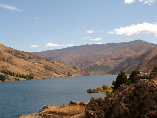 Auch auf dem Weg nach Queenstown. Die Sonne scheint und wir freuen uns, als unsere Temperaturanzeige im Auto 18 Grad C anzeigt.