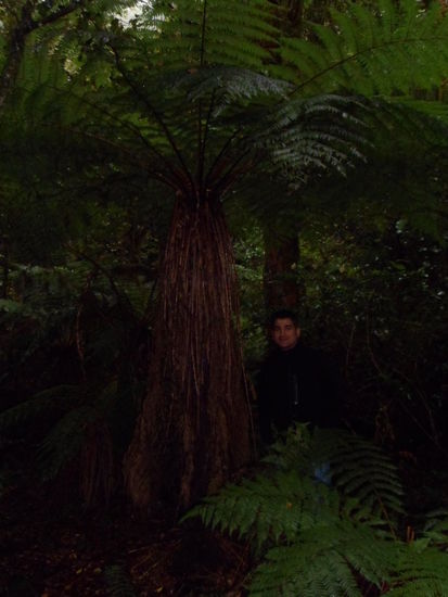 .... an den schoensten...