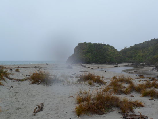Wetscoast, zum ersten Mal an der Tasman Sea