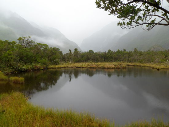 Peters Pool, am Fusse des Glaciers Franz Josef