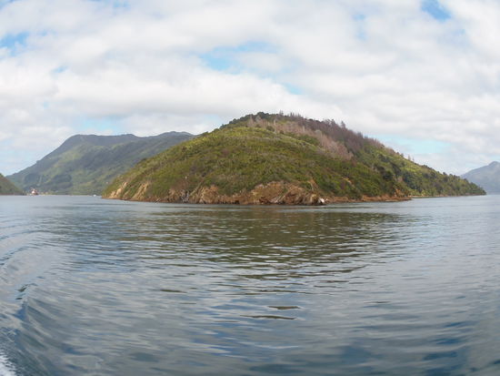 Uns erscheinen die Sounds fast wie ein Labyrinth