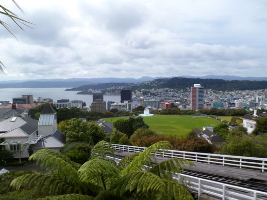 Wellington von oben, vom botanischen Garten aus gesehen