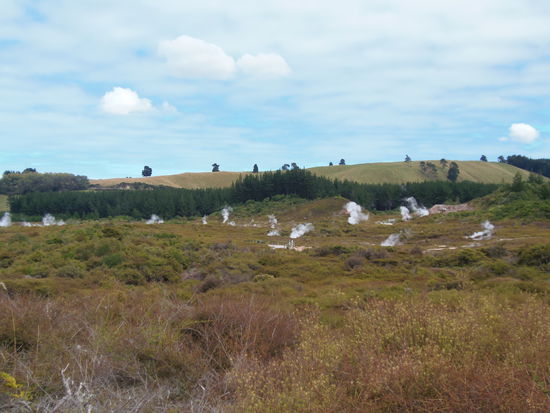 Taupo liegt auf einem geothermisch sehr aktiven Gebiet
