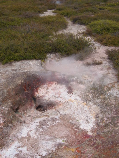 Hier ein Besuch auf dem Gelaende von...