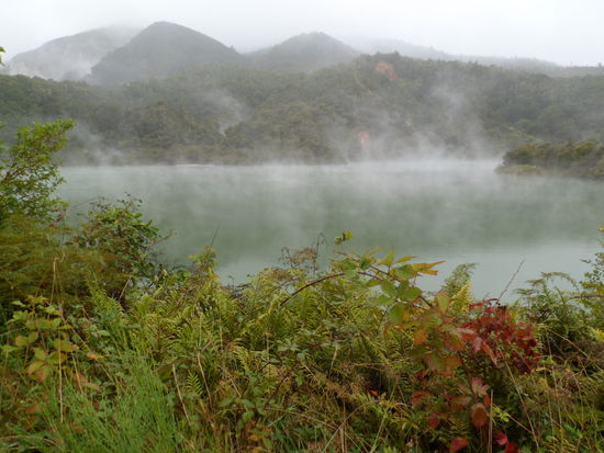 Die Strasse von Taupo nach Rotorua heisst nicht umsonst Thermalhighway