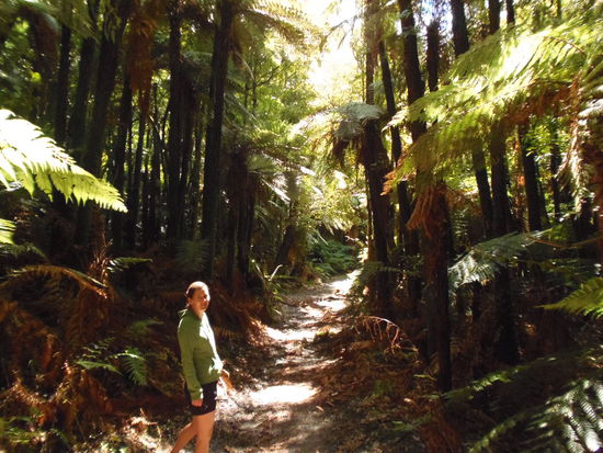 ...am Ufer des Blue Lake entlang