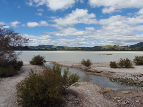 Im Schwefelhaltigen Wasser des Lake Rotoruas...