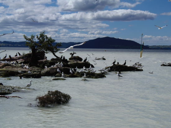 .... sieht aus wie Milch