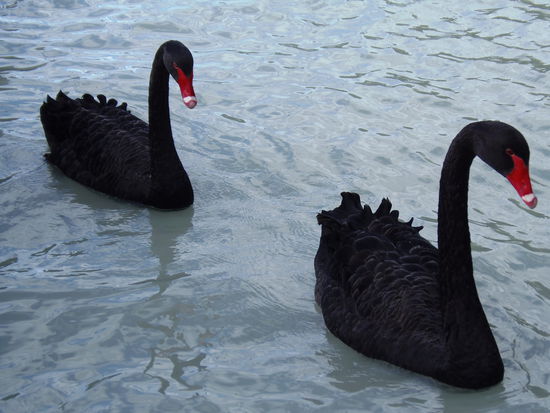 ....  einfach wunderschoen!!!!