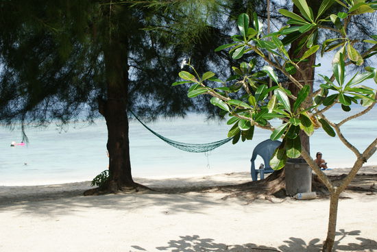 Ausblick von unserem Bungalow am Flora Beach